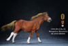 1/6 Scale Mongolica Horse Figure (5 Colors) by Mr.Z