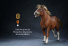 1/6 Scale Mongolica Horse Figure (5 Colors) by Mr.Z