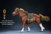 1/6 Scale Mongolica Horse Figure (5 Colors) by Mr.Z