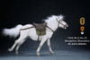 1/6 Scale Mongolica Horse Figure (5 Colors) by Mr.Z