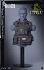 1/6 Scale HK Police CTRU (Assault Team) Figure (SS115) by Soldier Story