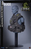 1/6 Scale HK Police CTRU (Assault Team) Figure (SS115) by Soldier Story