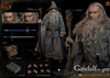 1/6 Scale The Lord of the Rings - Gandalf the Grey Figure (Crown Series) by Asmus Toys
