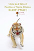 1/6 Scale Panthera Tigris Altaica Figure (3 Versions) by Mr.Z