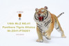 1/6 Scale Panthera Tigris Altaica Figure (3 Versions) by Mr.Z