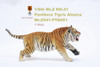 1/6 Scale Panthera Tigris Altaica Figure (3 Versions) by Mr.Z