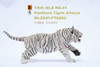 1/6 Scale Panthera Tigris Altaica Figure (3 Versions) by Mr.Z