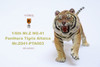 1/6 Scale Panthera Tigris Altaica Figure (3 Versions) by Mr.Z