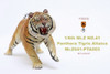 1/6 Scale Panthera Tigris Altaica Figure (3 Versions) by Mr.Z