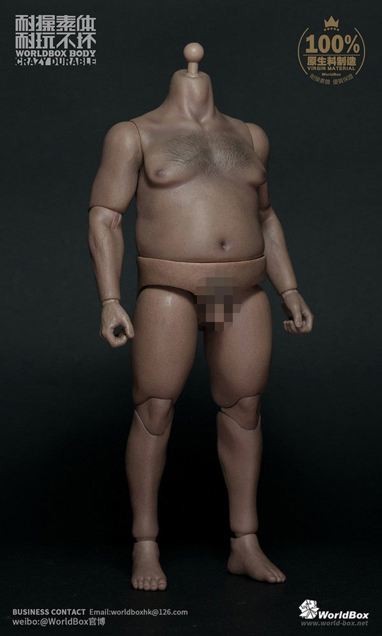 1/6 Scale Plump Body by Worldbox