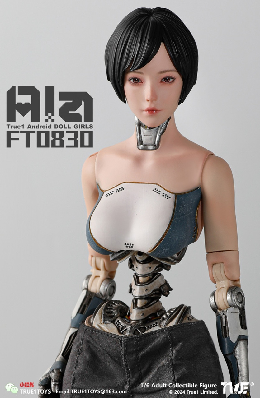 True1ToYS FT0830 Android GIrls Ala 人造人間 True1Toys (FT0830) 1/6 Scale Android Ala Figure