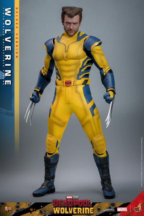 Hot Toys (MMS754) 1/6 Scale Deadpool & Wolverine - Wolverine