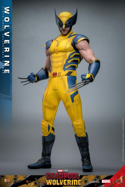Hot Toys (MMS753) 1/6 Scale Deadpool & Wolverine - Wolverine