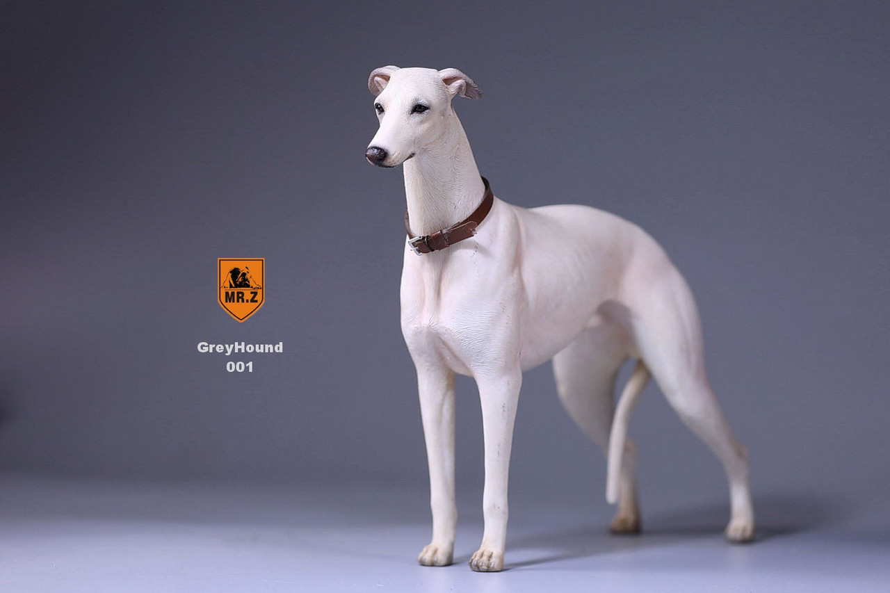 1/6 Scale Greyhound Dog Figure (6 Colors) by Mr.Z