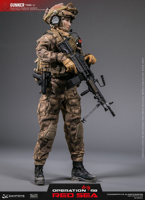 DAMTOYS (DAM-DMS009) PLA Navy Marine Corps Jiao Long Special Operations  Brigade Operator Corpsman - Lu Chen 1/6th Scale Collectible Figure