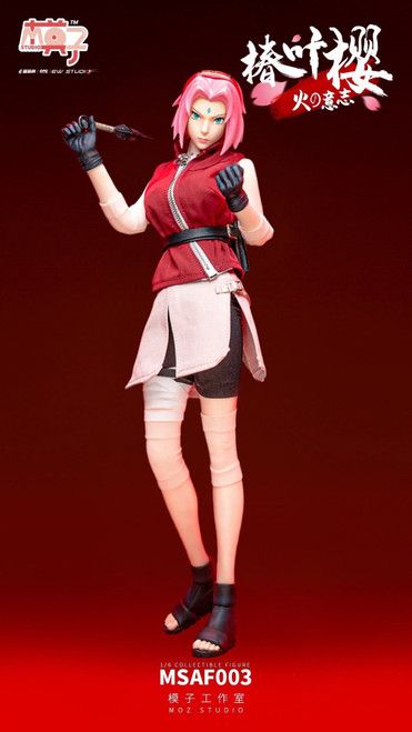 1/6 Scale Medical Ninja Figure by Moz Studio 1/6 Scale Medical Ninja Figure by Moz Studio