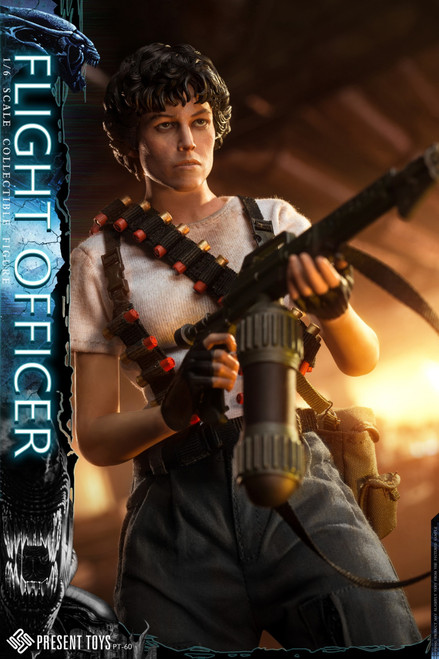 Present Toys (PT-SP60) 1/6 Scale Flight Officer Figure