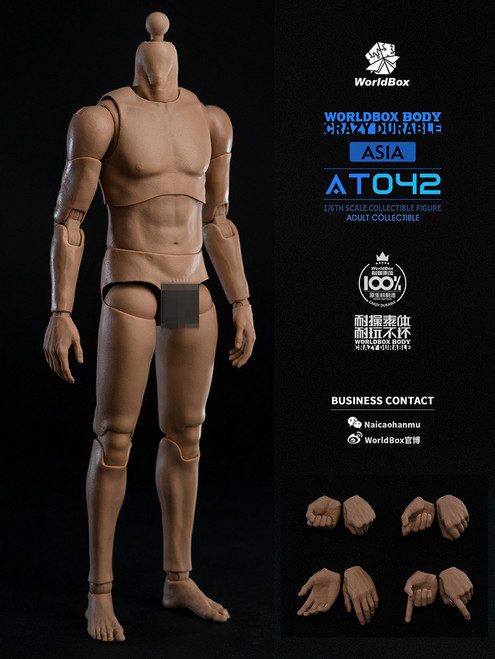 Worldbox (AT044) 1/6 Scale Durable Body