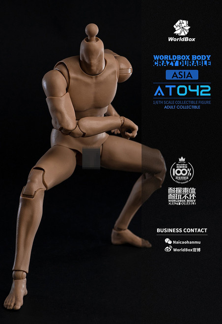 WorldBox (AT032) 1/6 Scale Crazy Durable Body