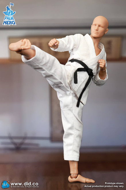 DID (SF80001) 1/12 Scale The Karate Player Figure DID (SF80001) 1/12 Scale The Karate Player Figure