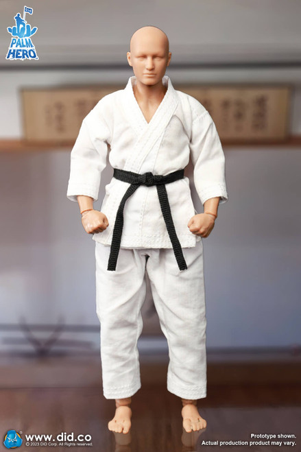 DID (SF80001) 1/12 Scale The Karate Player Figure DID (SF80001) 1/12 Scale The Karate Player Figure