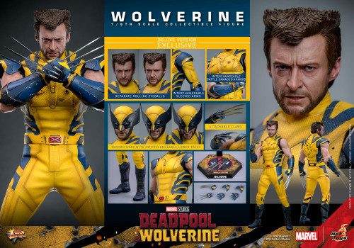 Hot Toys (MMS754) 1/6 Scale Deadpool & Wolverine - Wolverine (Deluxe Version)