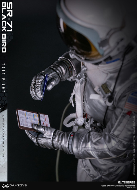 DAMTOYS (DAM-78109) 1/6 Scale SR-71 Black Bird Test Pilot Figure