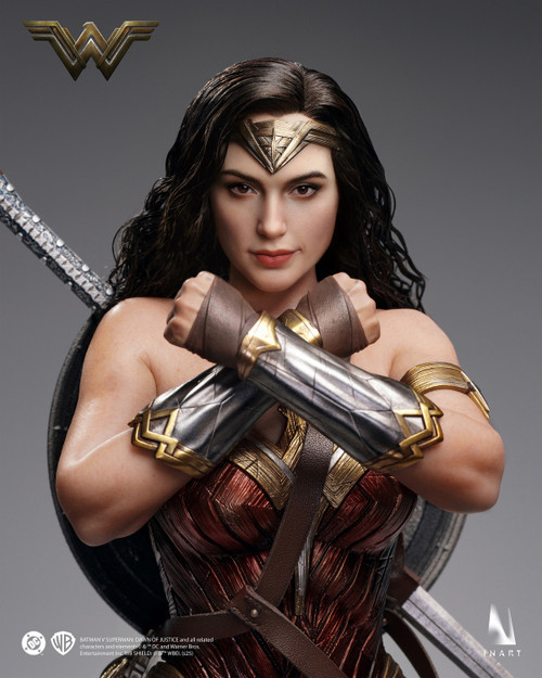 Hot Toys (MMS424) Wonder Woman - Wonder Woman Figure (Training