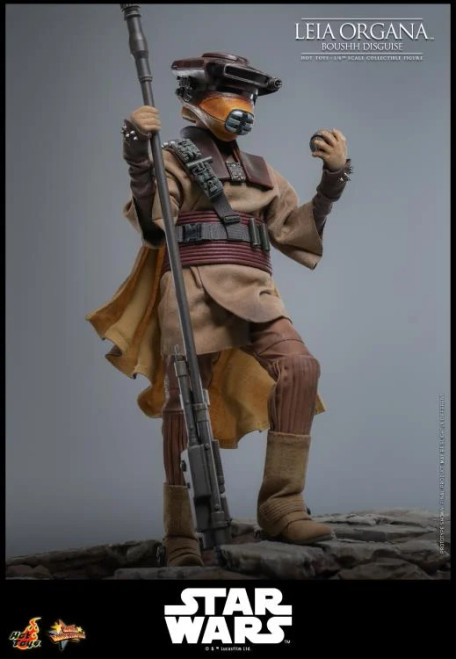 Hot Toys (MMS854) 1/6 Scale Star Wars: Return of the Jedi - Leia Organa Figure (Boushh Disguise)