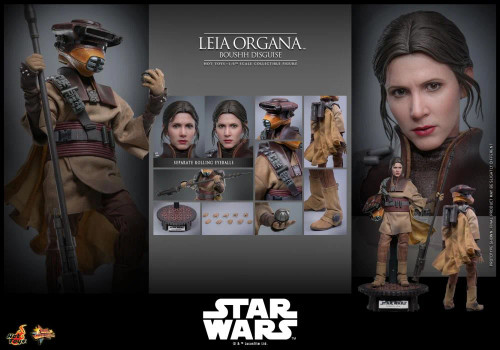 Hot Toys (MMS854) 1/6 Scale Star Wars: Return of the Jedi - Leia Organa Figure (Boushh Disguise)
