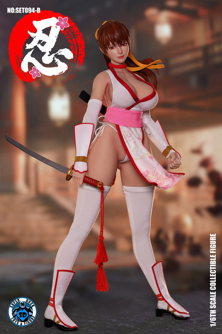 Super Duck Toys (SET094-B) 1/6 Scale Sexy Female Ninja Figure (White Outfit Version)