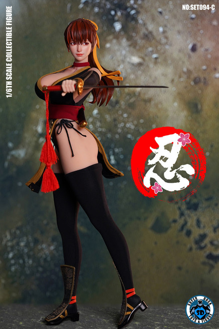 Super Duck Toys (SET094-C) 1/6 Scale Sexy Female Ninja Figure (Black Outfit Version)