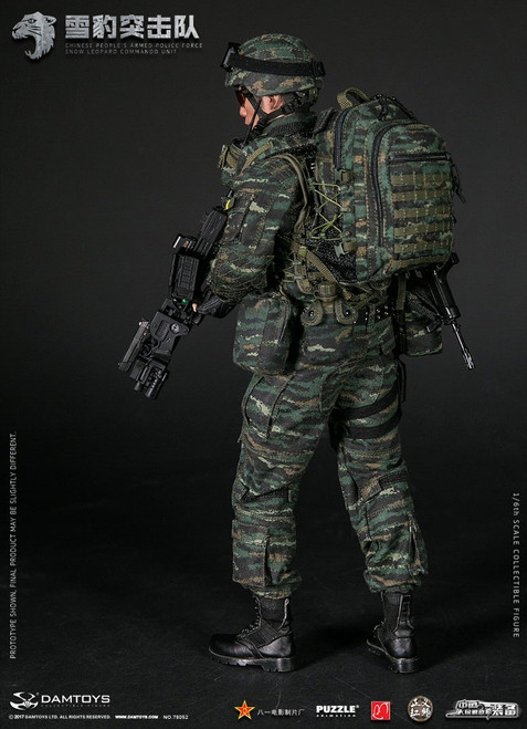 DAMTOYS Chinese People's Liberation Army Special Forces