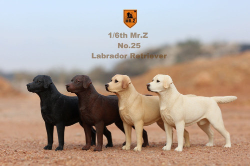 1/6 Scale Labrador Retriever Figure (4 Colors) by Mr.Z 1/6 Scale Labrador Retriever Figure (4 Colors) by Mr.Z