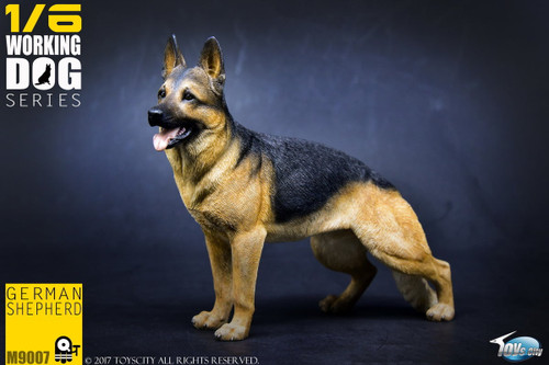 1/6 Scale German Shepherd Figure by Toys City