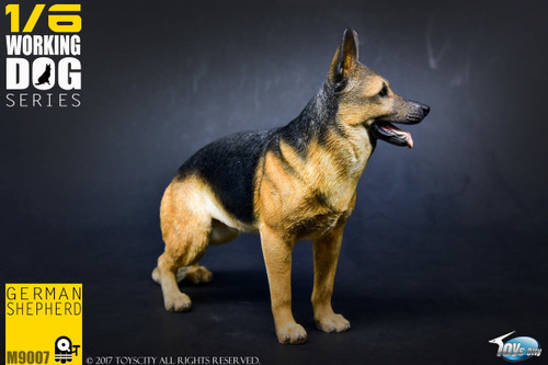 1/6 Scale German Shepherd Figure by Toys City