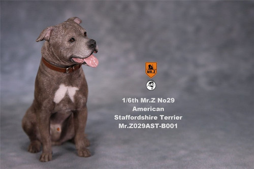 1/6 Scale American Staffordshire Terrier Dog Figure (2 Versions) by Mr.Z 1/6 Scale American Staffordshire Terrier Dog Figure (2 Versions) by Mr.Z