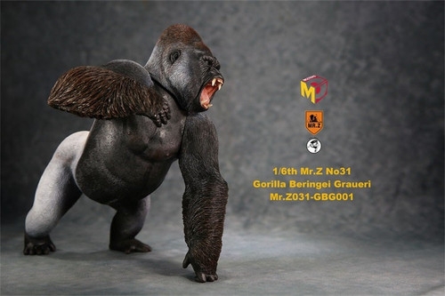 1/6 Scale Black Gorilla Beringei Graueri Figure by Mr.Z 1/6 Scale Black Gorilla Beringei Graueri Figure by Mr.Z