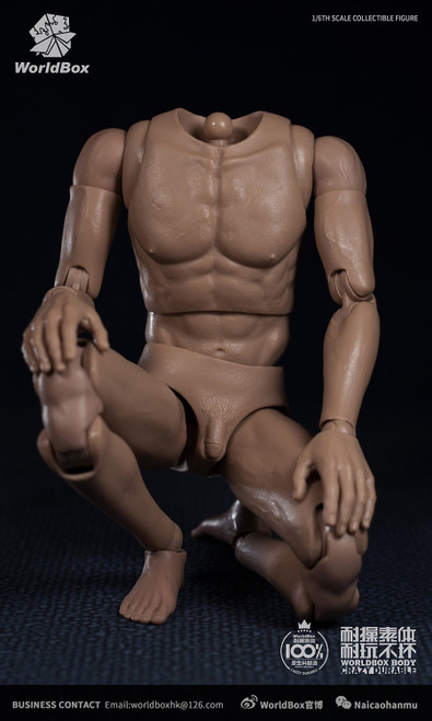 1/6 Scale Crazy Durable Body (AT020) by WorldBox 1/6 Scale Crazy Durable Body (AT020) by WorldBox