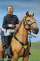 DID (E60076) 1/6 Scale Civil War Brown War Horse (Standing)