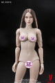 1/6 Scale Supermodel Head Sculpt and Female Body Set (Version B) by VERYCOOL