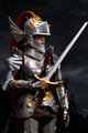 1/6 Scale Crown Knight Figure by SGToys