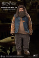 1/6 Scale Harry Potter - Rebeus Hagrid 2.0 Figure by Star Ace Toys