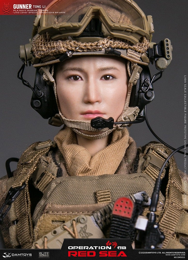 DAMTOYS DMS009 紅海行動 オペレーション：レッドシー 蛟龍 フィギュア専門店 -ソダチトイズ / DAMTOYS DMS009 紅海行動