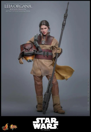 Hot Toys (MMS854) 1/6 Scale Star Wars: Return of the Jedi - Leia