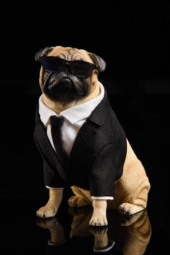 JXK (JXK018) 1/6 Scale Pug in Black Figure