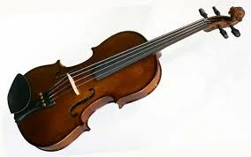 Violin   student   Stentor