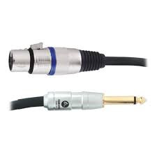Microphone Cable   10 foot   Carson   Rocklines