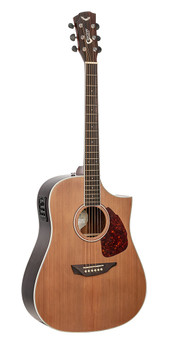 Guitar Dreadnought Samick 650 series