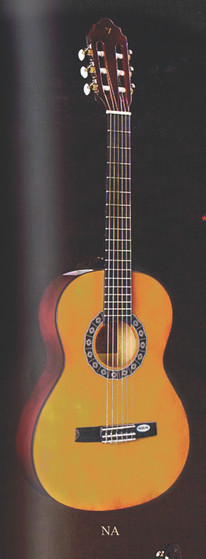 Valencia 1/2 Size Guitar Complete Set Up Starter Pack